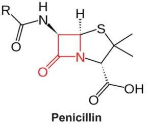Chemical structure of penicillin. The characteristic beta-lactam substructure is highlighted in red. 